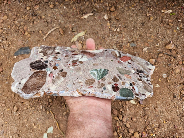 Polished Marillana Conglomerate slab MC125