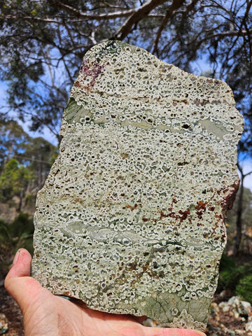 Polished Rainforest Jasper slab RFJ158
