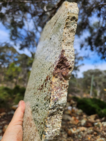 Polished Rainforest Jasper slab RFJ158