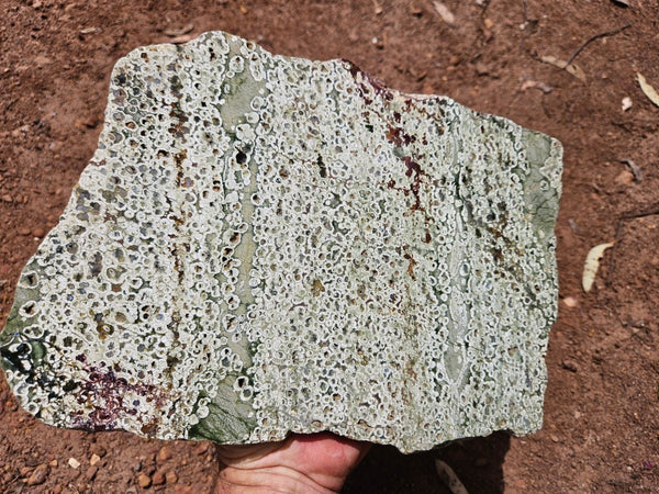 Polished Rainforest Jasper slab RFJ158