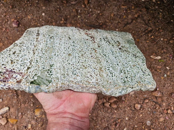 Polished Rainforest Jasper slab RFJ158