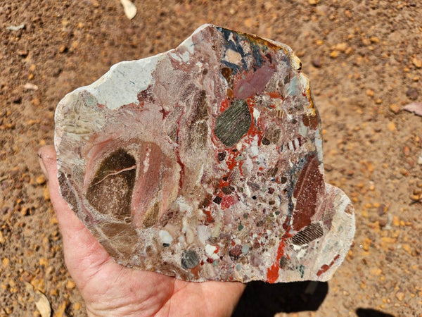 Polished Marillana Conglomerate slab MC128