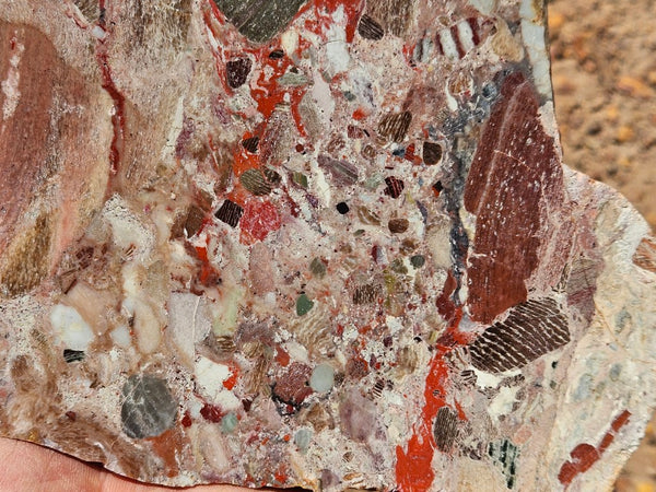 Polished Marillana Conglomerate slab MC128