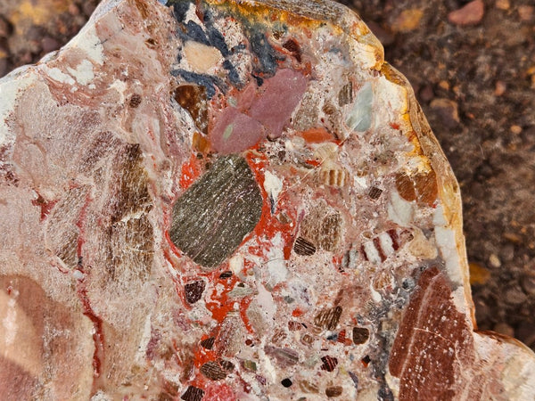 Polished Marillana Conglomerate slab MC128