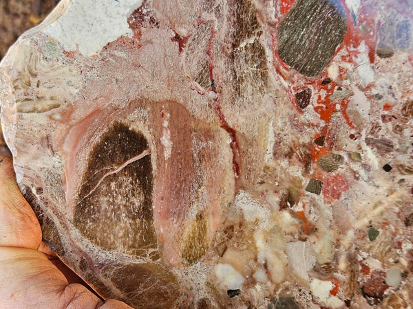 Polished Marillana Conglomerate slab MC128