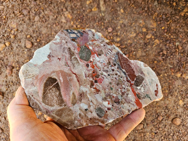 Polished Marillana Conglomerate slab MC128