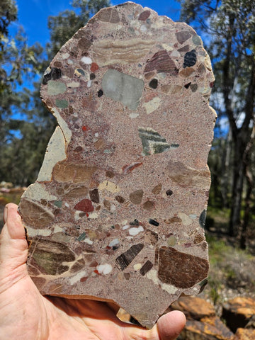Polished Marillana Conglomerate slab MC126