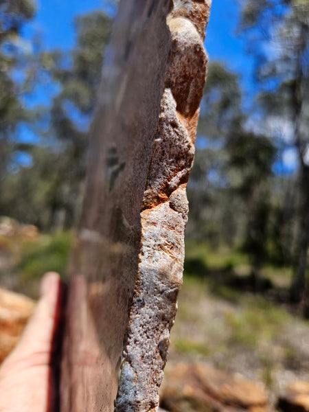 Polished Marillana Conglomerate slab MC126