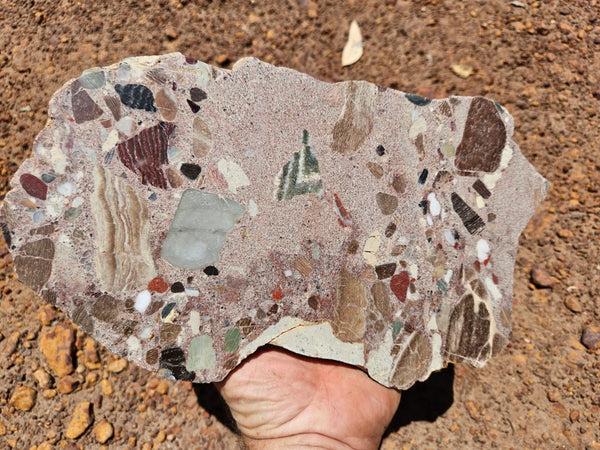 Polished Marillana Conglomerate slab MC126