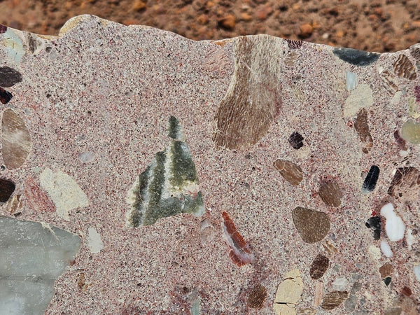Polished Marillana Conglomerate slab MC126