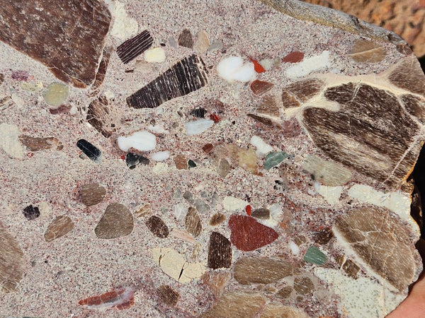 Polished Marillana Conglomerate slab MC126