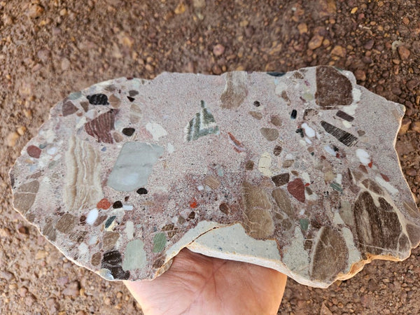 Polished Marillana Conglomerate slab MC126