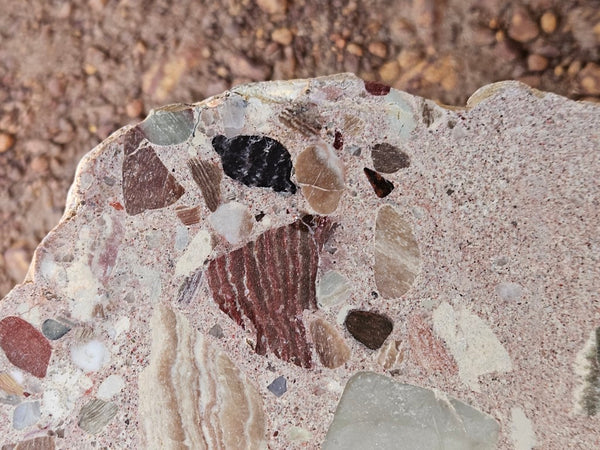 Polished Marillana Conglomerate slab MC126