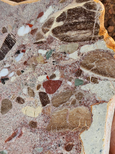 Polished Marillana Conglomerate slab MC126