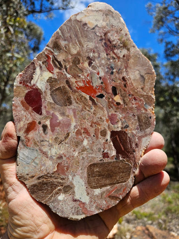 Polished Marillana Conglomerate slab MC127