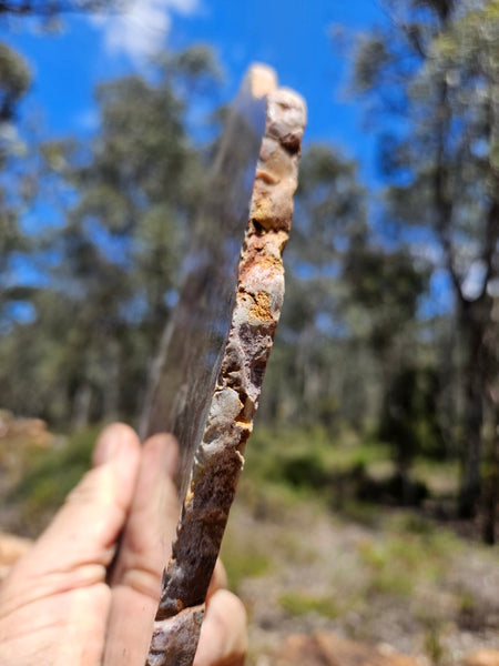 Polished Marillana Conglomerate slab MC127