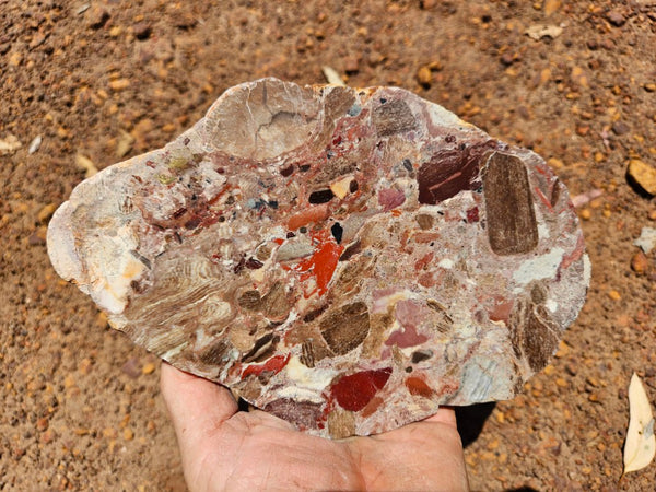 Polished Marillana Conglomerate slab MC127