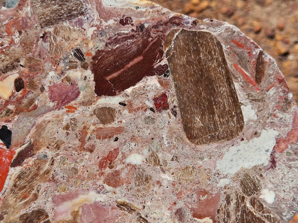 Polished Marillana Conglomerate slab MC127