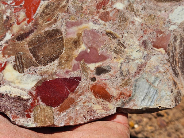 Polished Marillana Conglomerate slab MC127