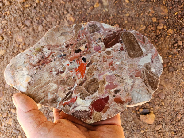 Polished Marillana Conglomerate slab MC127