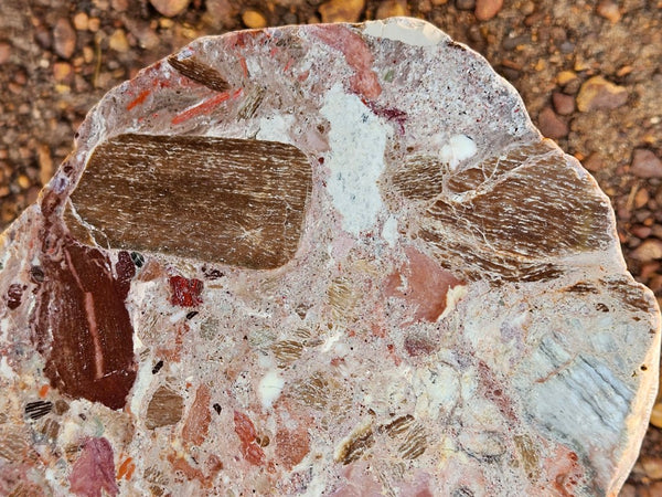 Polished Marillana Conglomerate slab MC127