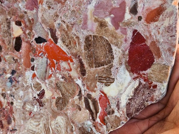 Polished Marillana Conglomerate slab MC127