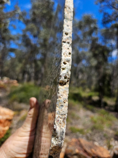 Polished Rainforest Jasper slab RFJ159