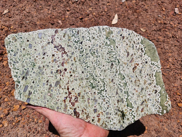 Polished Rainforest Jasper slab RFJ159