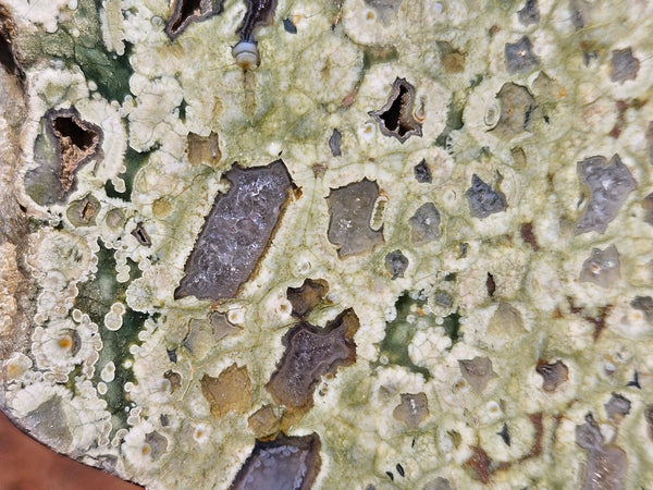 Polished Rainforest Jasper slab RFJ159