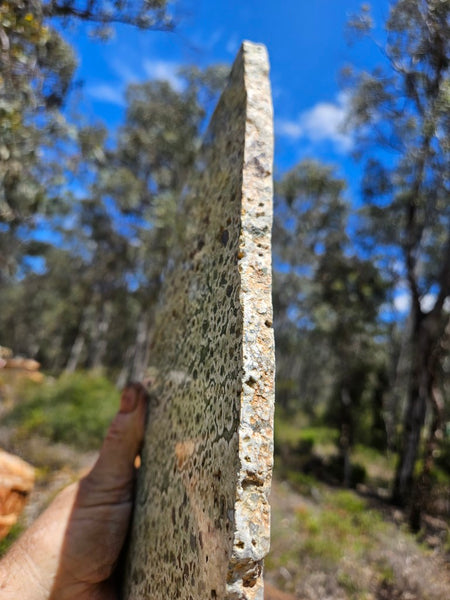 Polished Rainforest Jasper slab RFJ160