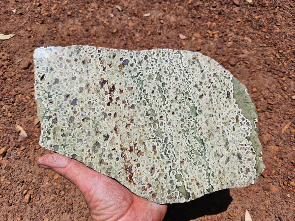 Polished Rainforest Jasper slab RFJ160