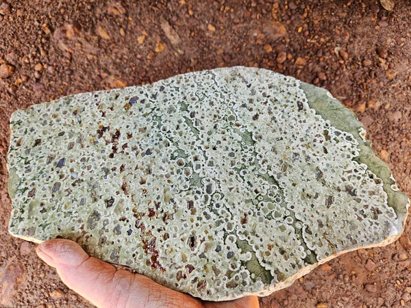Polished Rainforest Jasper slab RFJ160