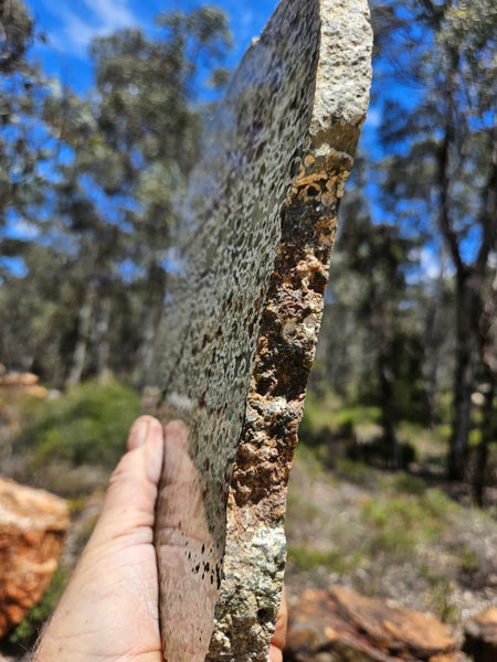 Polished Rainforest Jasper slab RFJ161