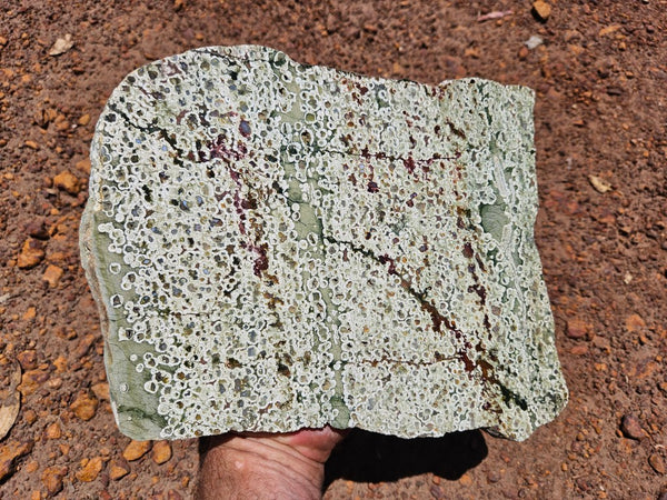 Polished Rainforest Jasper slab RFJ161