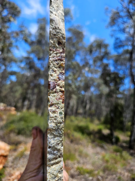 Polished Rainforest Jasper slab RFJ163
