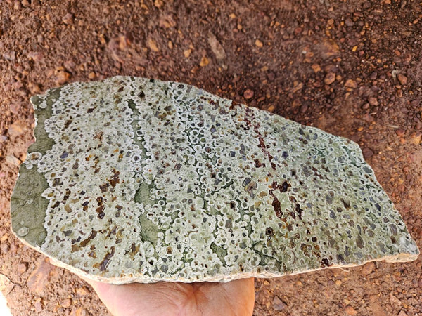 Polished Rainforest Jasper slab RFJ163