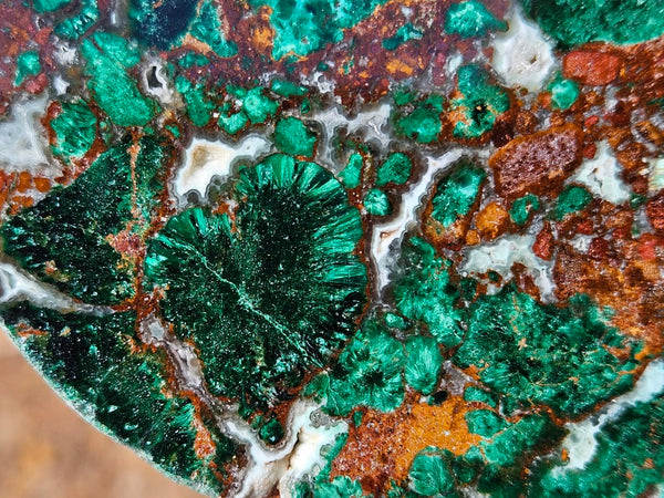 Polished De Grussa copper ore slab CO129