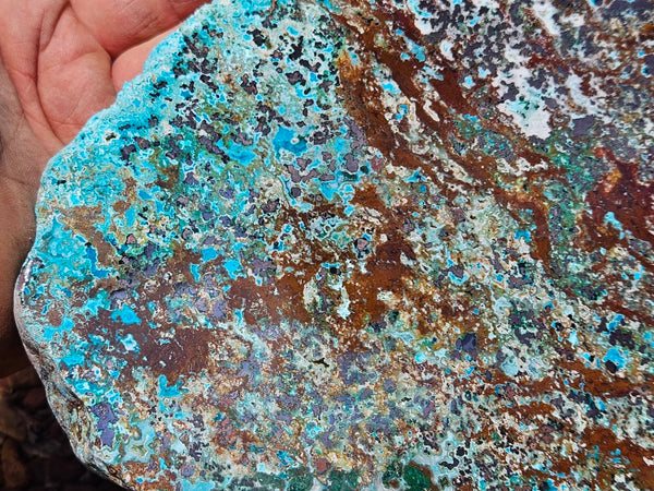 Polished De Grussa copper ore slab CO131