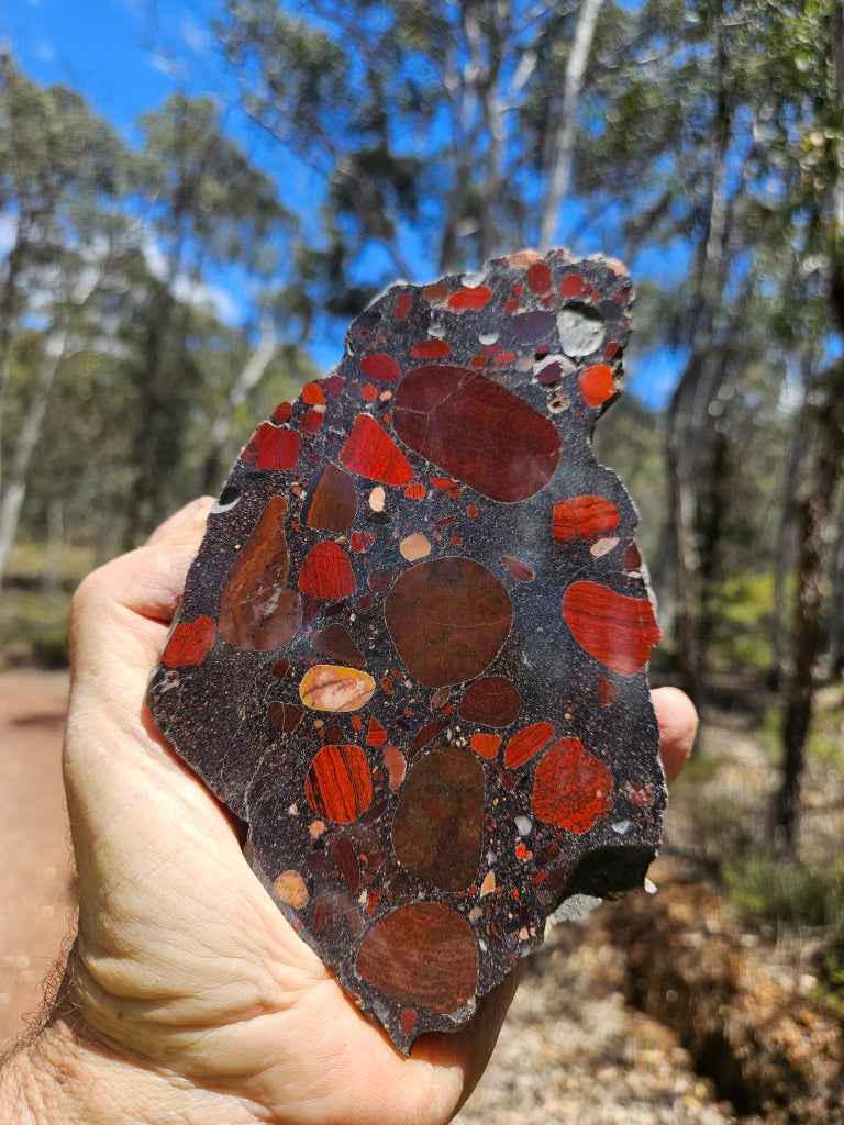 Polished Jelly Bean Jasper  JBJ363