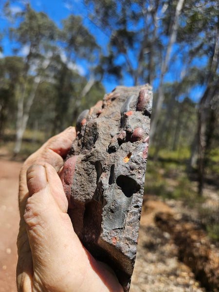 Polished Jelly Bean Jasper  JBJ363