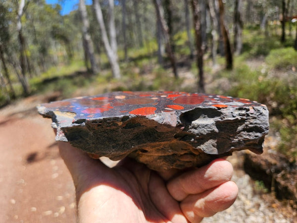 Polished Jelly Bean Jasper  JBJ363