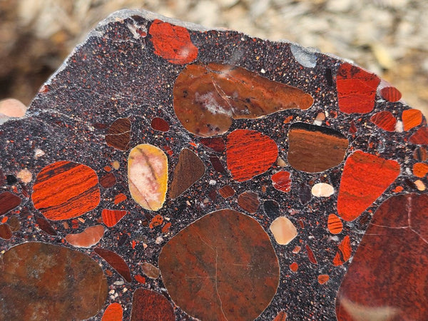 Polished Jelly Bean Jasper  JBJ363