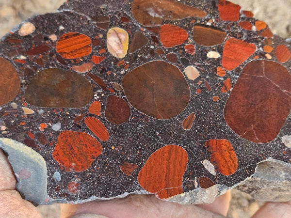 Polished Jelly Bean Jasper  JBJ363