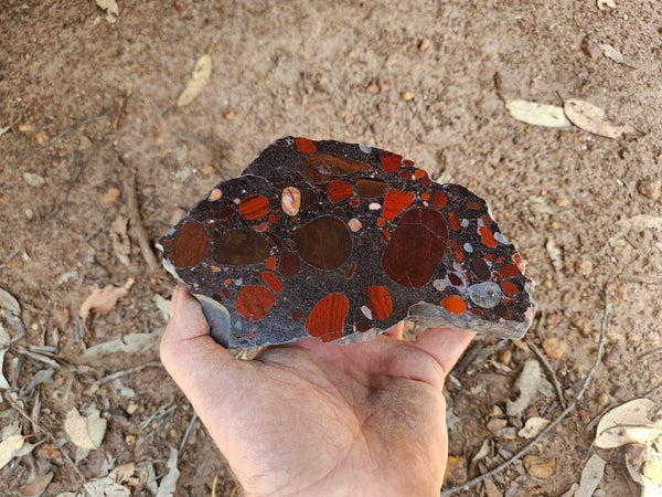 Polished Jelly Bean Jasper  JBJ363