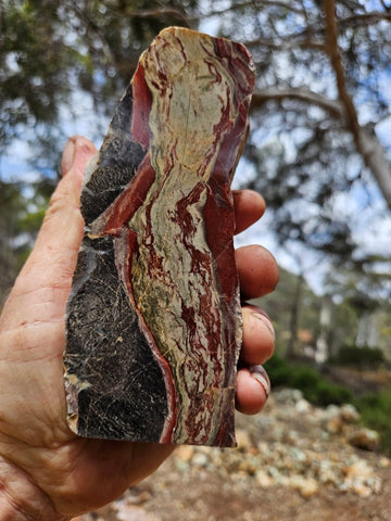 Polished Convoluted Jasper  CJ103