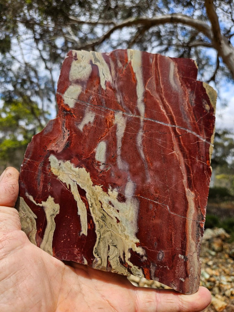 Polished Convoluted Jasper slab CJ101