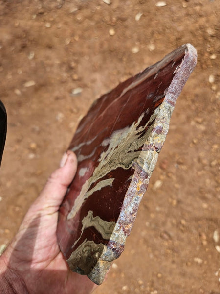 Polished Convoluted Jasper slab CJ101