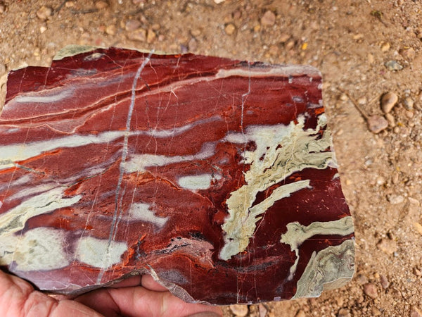 Polished Convoluted Jasper slab CJ101