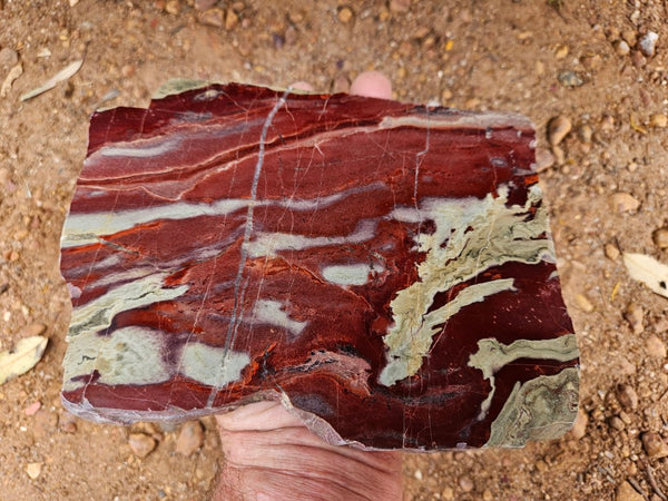Polished Convoluted Jasper slab CJ101