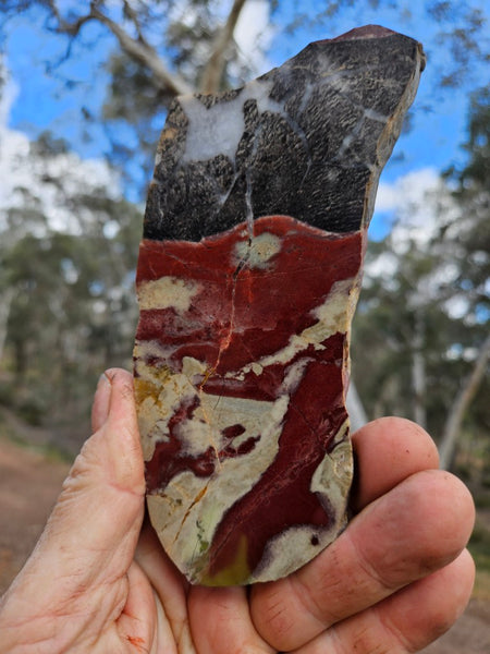 Polished Convoluted Jasper slab CJ102